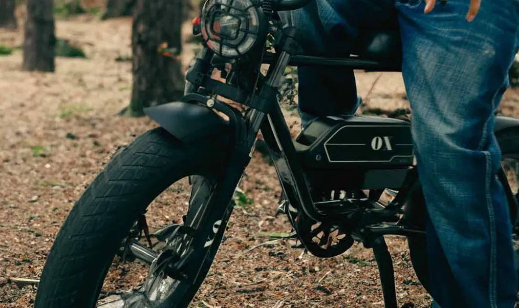 Eバイクとモペットの法的ルールを解説